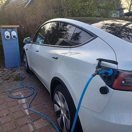 Fewo Rothirsch - Heuser Prerow Exteriör bild