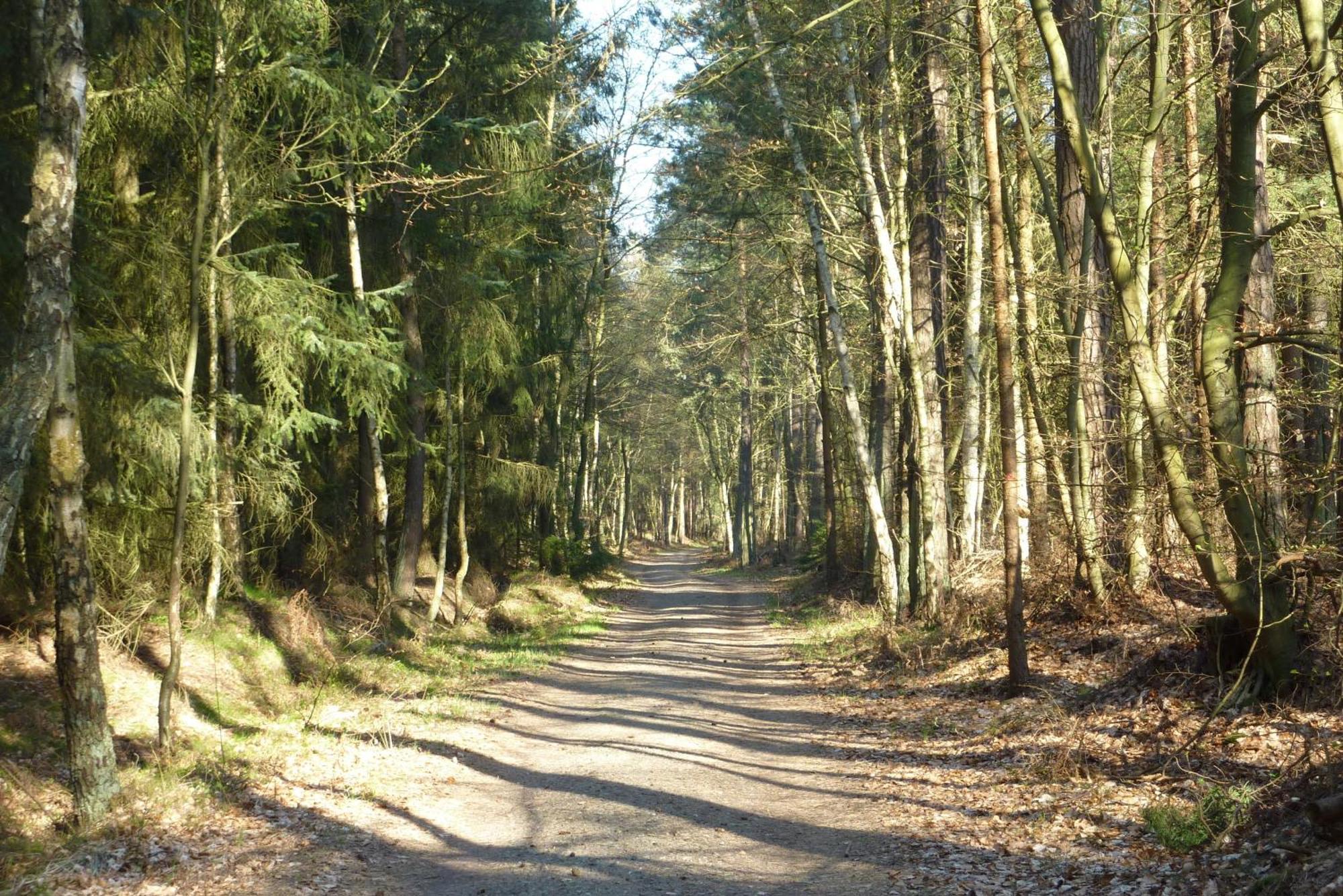 Fewo Rothirsch - Heuser Prerow Exteriör bild