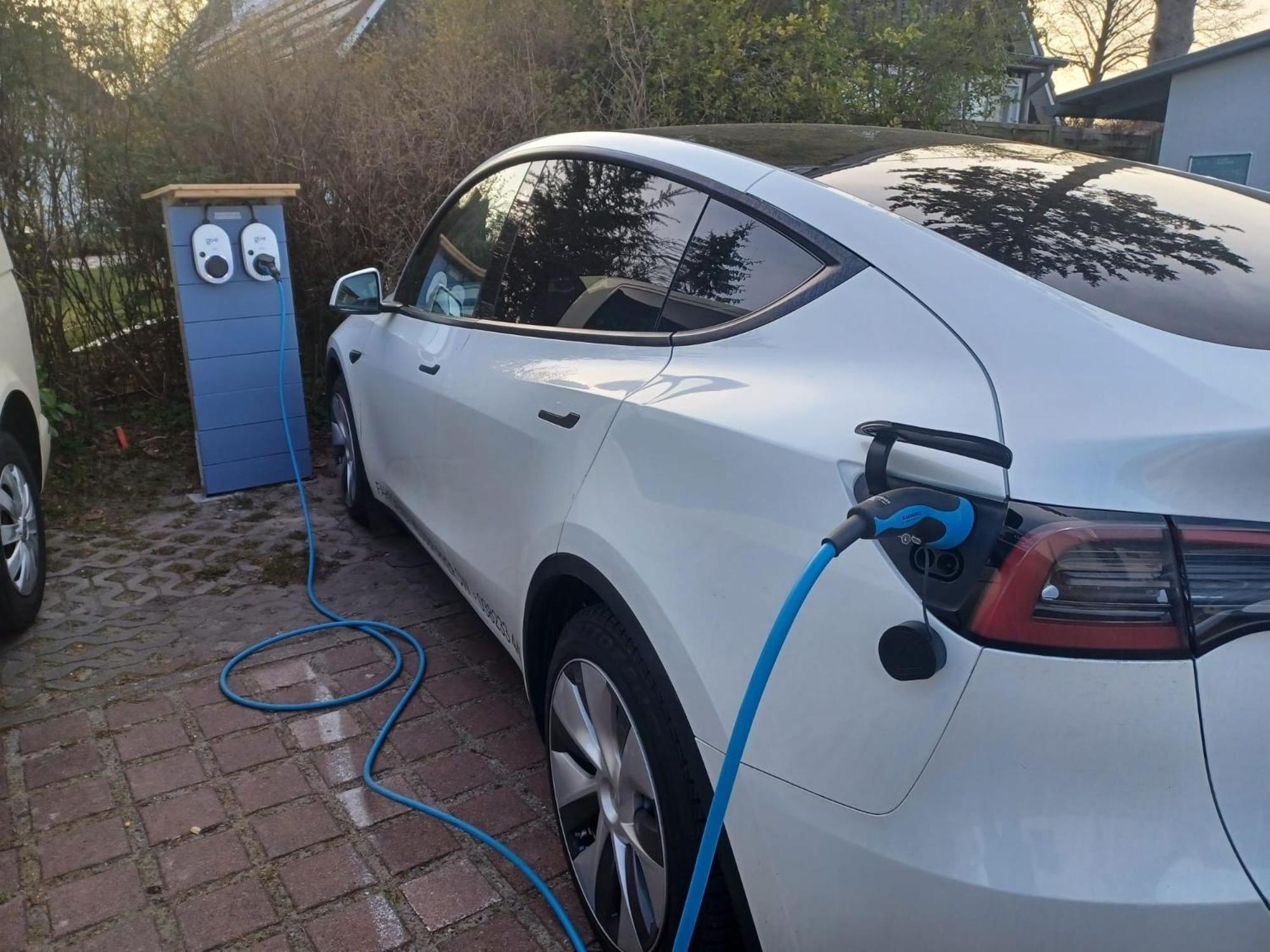 Fewo Rothirsch - Heuser Prerow Exteriör bild